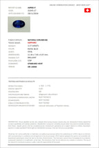 3.37 ct Oval Cut Sri Lankan Sapphire